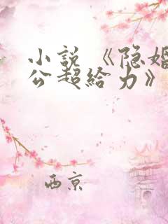 小说 《隐婚老公超给力》