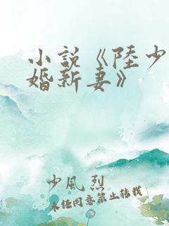 小说《陆少的暖婚新妻》