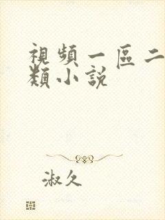 视频一区二区另类小说