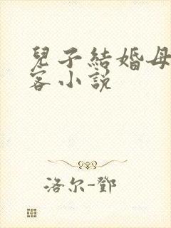 儿子结婚母亲陪客小说
