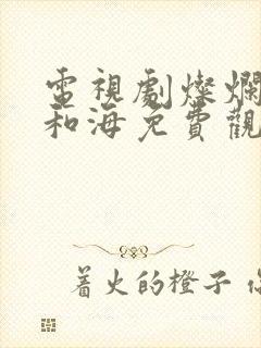 电视剧灿烂的风和海免费观看