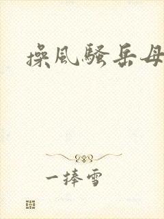 操风骚岳母