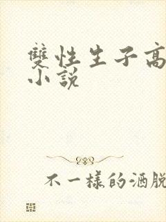 双性生子高h的小说