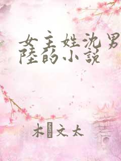 女主姓沈男主姓陆的小说