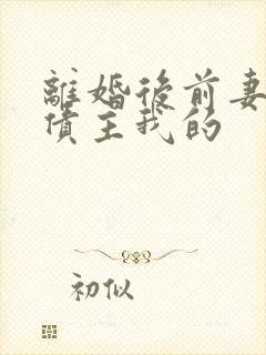 离婚后前妻成了债主我的