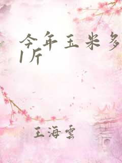 今年玉米多少钱1斤