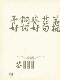 青铜葵花第8章好词好句摘抄