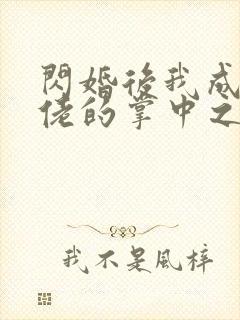 闪婚后我成了大佬的掌中之物6.9