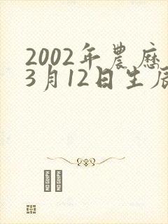 2002年农历3月12日生辰八字
