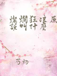 灿烂狂浪原著小说叫什么