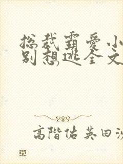 总裁霸爱小娇妻别想逃全文免费阅读