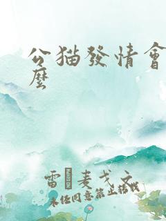 公猫发情会尿闭么