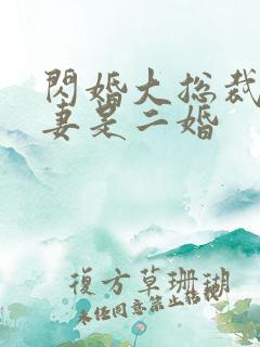 闪婚大总裁:娇妻是二婚