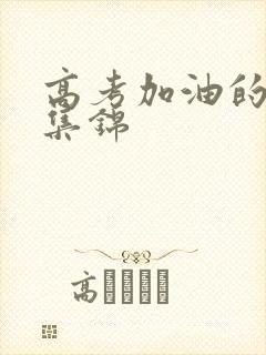 高考加油的金句集锦