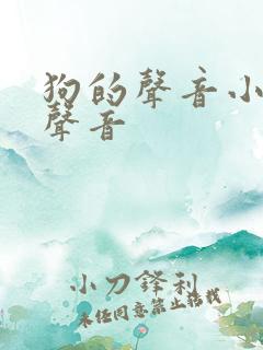 狗的声音小狗的声音