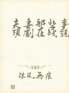 夫妻那些事儿电视剧在线观看全集