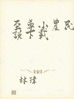 至尊小农民 小说下载