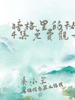 暗格里的秘密24集免费观看