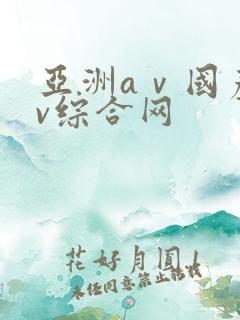 亚洲aⅴ国产av综合网