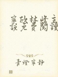 宁欣林峰主角小说免费阅读