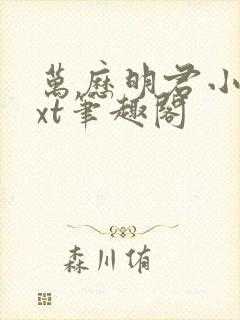 万历明君小说txt笔趣阁