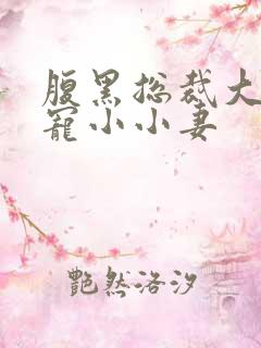 腹黑总裁大叔溺宠小小妻