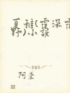 夏稚(霍深霍栖野)小说