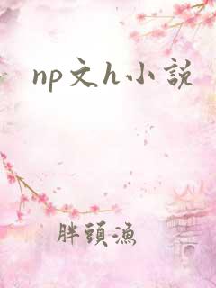 np文h小说