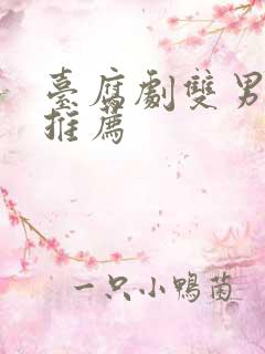 台腐剧双男主剧推荐