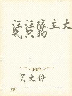 汪汪队立大功有几只狗