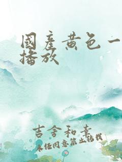 国产黄色一级片播放