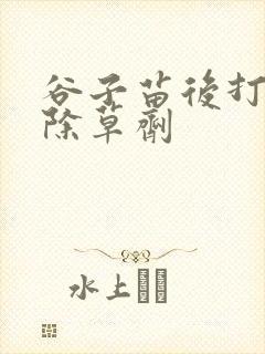谷子苗后打什么除草剂