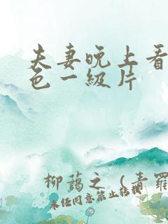 夫妻晚上看的黄色一级片