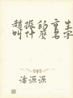 赵振的重生小说叫什么名字啊