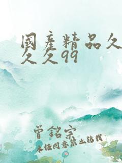 国产精品久久久久久99