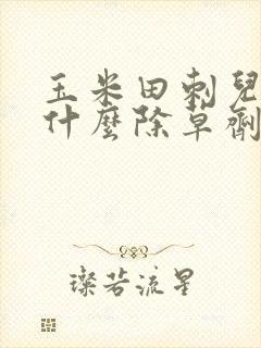 玉米田刺儿菜用什么除草剂能除根