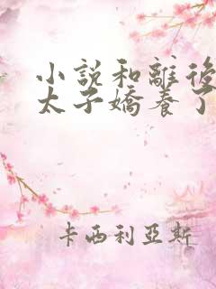 小说和离后我被太子娇养了