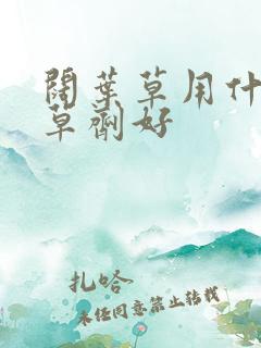 阔叶草用什么除草剂好