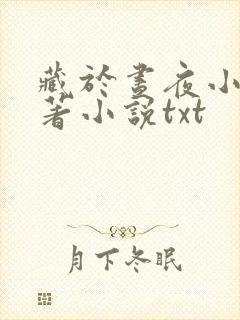 藏于昼夜小说原著小说txt