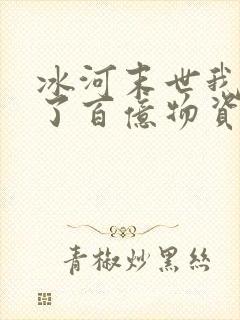 冰河末世我囤积了百亿物资 小说