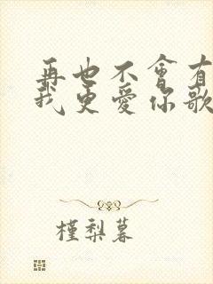 再也不会有人比我更爱你歌词