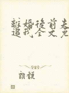 离婚后前夫总是追我全文免费阅读