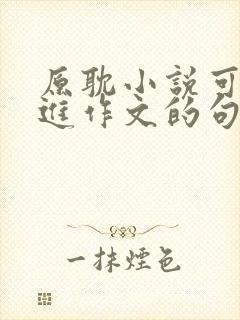 原耽小说可以写进作文的句子