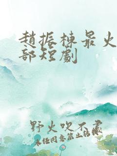 赵振栋最火10部短剧