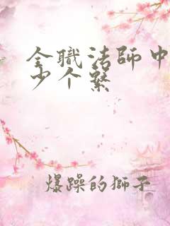全职法师中有多少个系