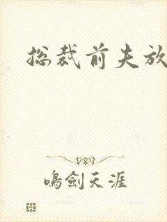 总裁前夫放了我