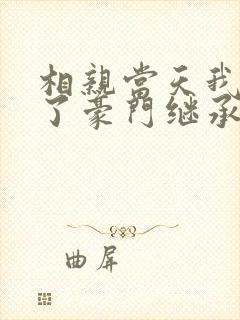 相亲当天我闪婚了豪门继承人
