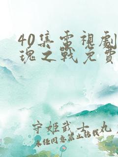 40集电视剧玫瑰之战免费播放