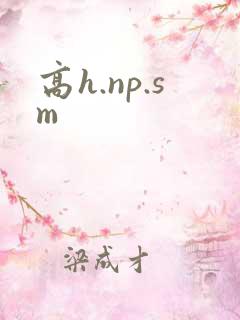 高h.np.sm