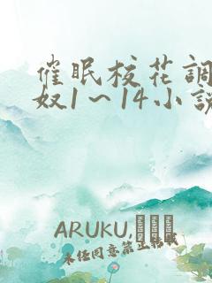 催眠校花调教肉奴1～14小说
